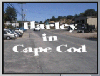 Harley on Cape Cod